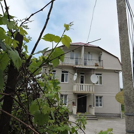 Shamil House Vendégház Makhindzsauri Kültér fotó