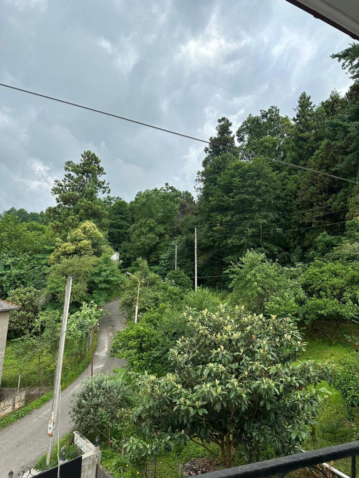 Shamil House Vendégház Makhindzsauri Kültér fotó