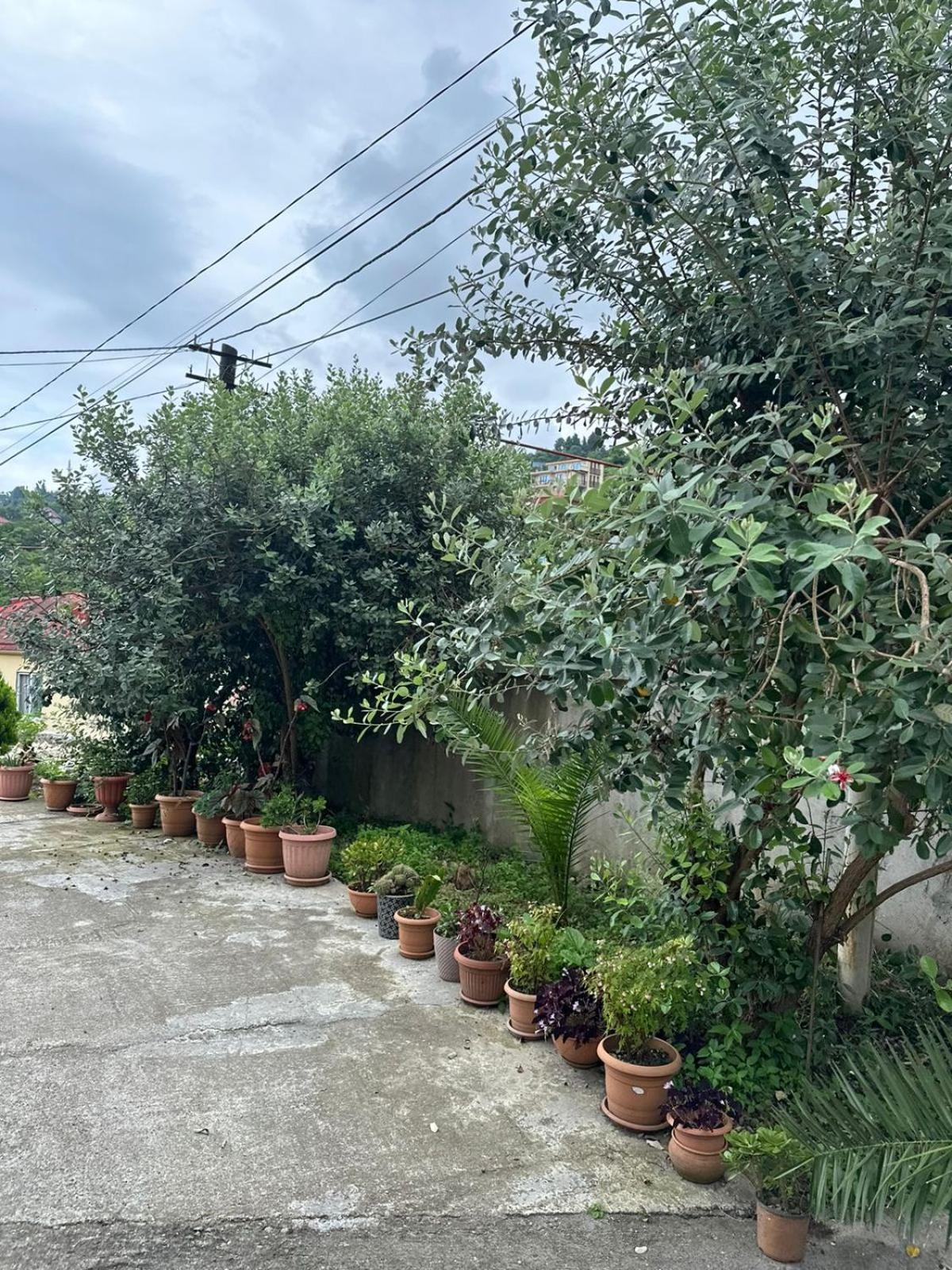 Shamil House Vendégház Makhindzsauri Kültér fotó