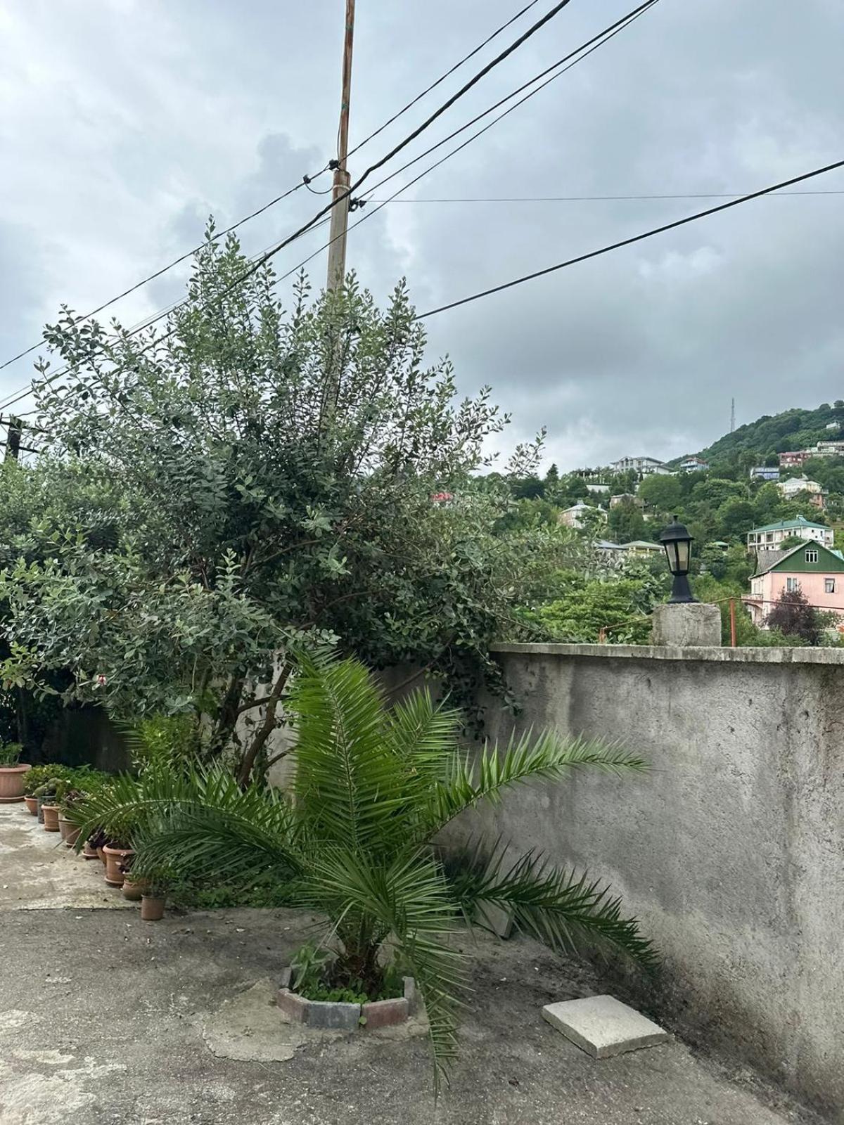 Shamil House Vendégház Makhindzsauri Kültér fotó