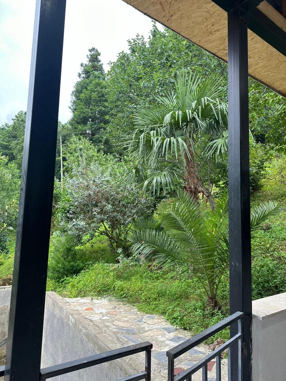 Shamil House Vendégház Makhindzsauri Kültér fotó