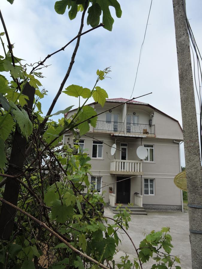 Shamil House Vendégház Makhindzsauri Kültér fotó